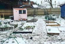 SHOULD YOU COVER YOUR GROWING BEDS FOR THE WINTER?