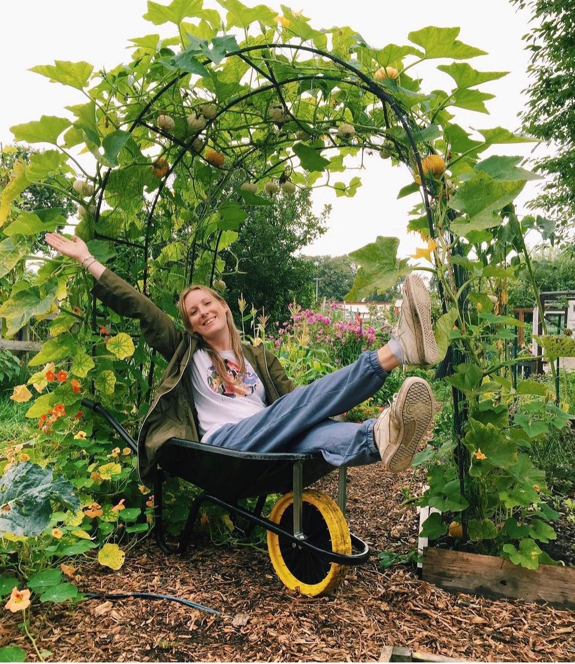 GROW A PUMPKIN ARCH - The Pink Shed