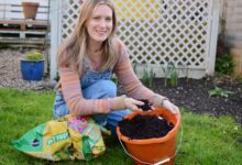 HANDY HACKS FOR YOUR ALLOTMENT PLOT