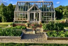 HARTLEY BOTANIC’S ANNUAL GREENHOUSE TREND PREDICTIONS